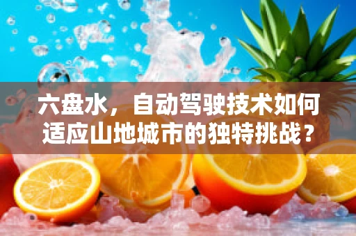 六盘水，自动驾驶技术如何适应山地城市的独特挑战？