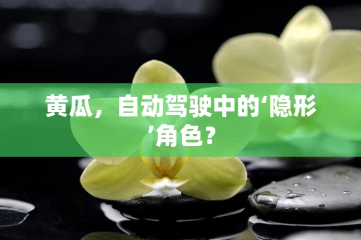 黄瓜，自动驾驶中的‘隐形’角色？