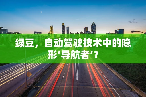 绿豆，自动驾驶技术中的隐形‘导航者’？