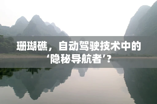珊瑚礁，自动驾驶技术中的‘隐秘导航者’？