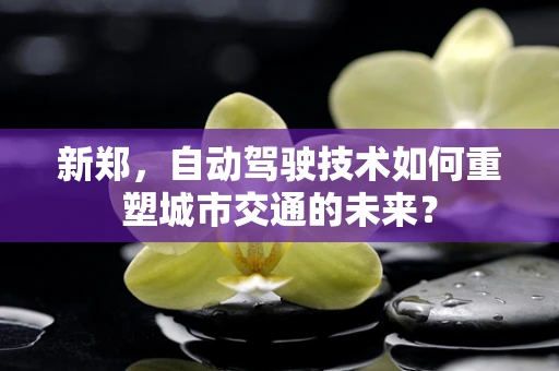 新郑，自动驾驶技术如何重塑城市交通的未来？