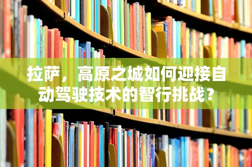 拉萨，高原之城如何迎接自动驾驶技术的智行挑战？