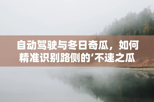 自动驾驶与冬日奇瓜，如何精准识别路侧的‘不速之瓜’？