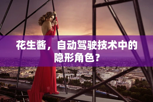 花生酱，自动驾驶技术中的隐形角色？
