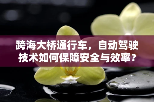 跨海大桥通行车，自动驾驶技术如何保障安全与效率？