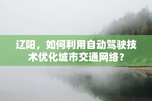 辽阳，如何利用自动驾驶技术优化城市交通网络？