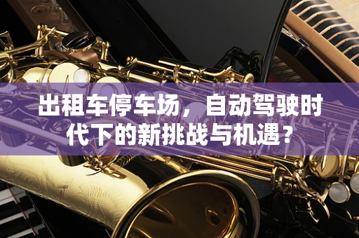出租车停车场，自动驾驶时代下的新挑战与机遇？