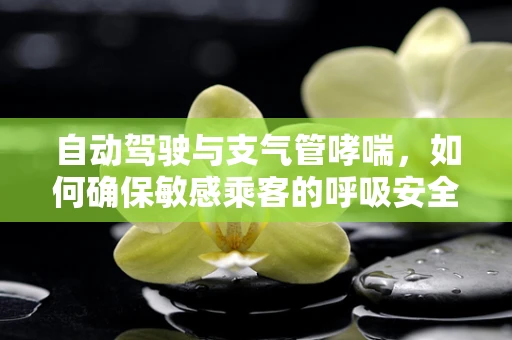 自动驾驶与支气管哮喘，如何确保敏感乘客的呼吸安全？