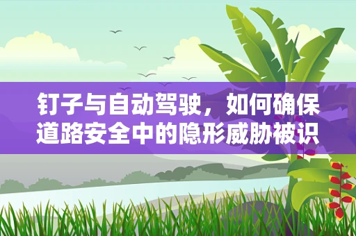 钉子与自动驾驶，如何确保道路安全中的隐形威胁被识别？