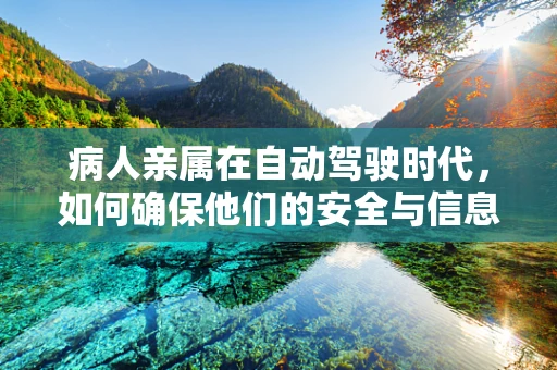 病人亲属在自动驾驶时代，如何确保他们的安全与信息？