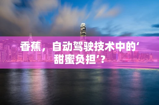 香蕉，自动驾驶技术中的‘甜蜜负担’？