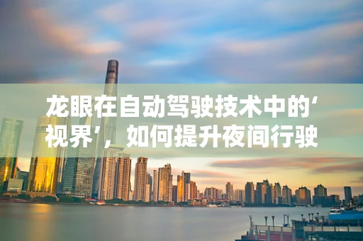 龙眼在自动驾驶技术中的‘视界’，如何提升夜间行驶的安全性与效率？