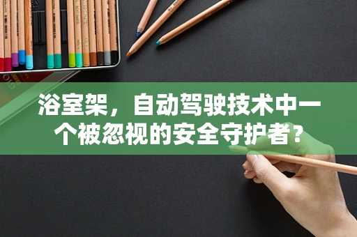 浴室架，自动驾驶技术中一个被忽视的安全守护者？