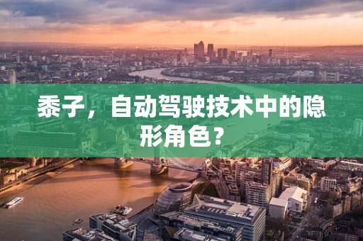 黍子，自动驾驶技术中的隐形角色？