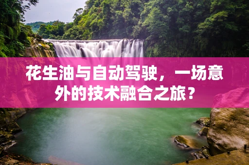 花生油与自动驾驶，一场意外的技术融合之旅？