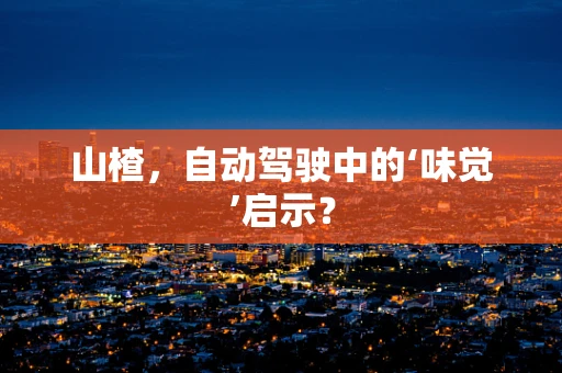 山楂，自动驾驶中的‘味觉’启示？