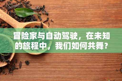 冒险家与自动驾驶，在未知的旅程中，我们如何共舞？