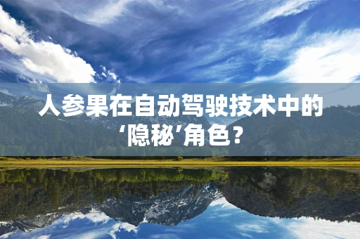 人参果在自动驾驶技术中的‘隐秘’角色？