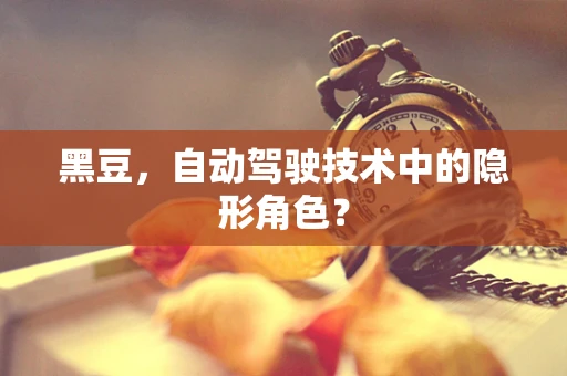 黑豆，自动驾驶技术中的隐形角色？
