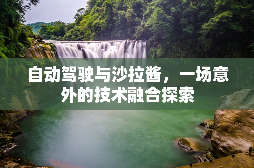 自动驾驶与沙拉酱，一场意外的技术融合探索