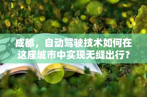 成都，自动驾驶技术如何在这座城市中实现无缝出行？