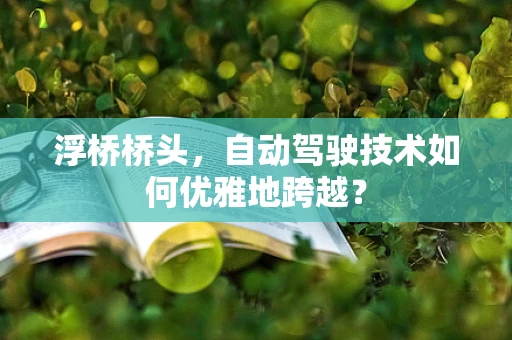浮桥桥头，自动驾驶技术如何优雅地跨越？