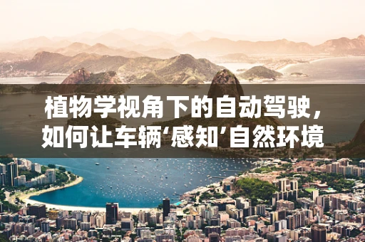 植物学视角下的自动驾驶，如何让车辆‘感知’自然环境？