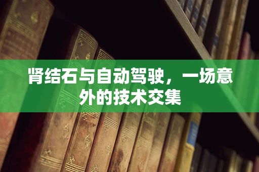 肾结石与自动驾驶，一场意外的技术交集