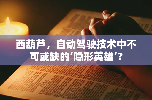 西葫芦，自动驾驶技术中不可或缺的‘隐形英雄’？