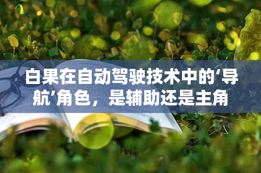 白果在自动驾驶技术中的‘导航’角色，是辅助还是主角？