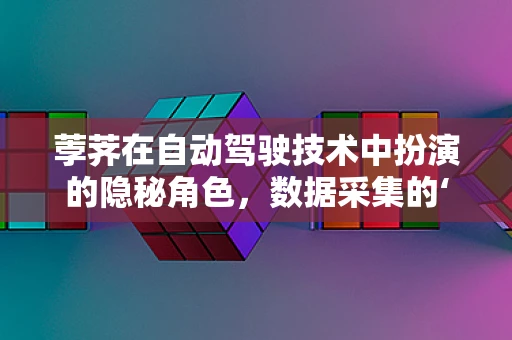 荸荠在自动驾驶技术中扮演的隐秘角色，数据采集的‘地下英雄’