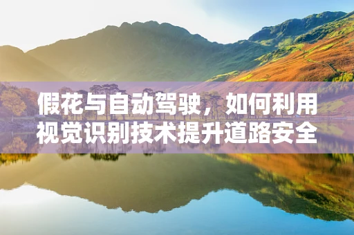 假花与自动驾驶，如何利用视觉识别技术提升道路安全？