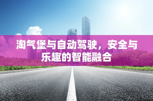 淘气堡与自动驾驶，安全与乐趣的智能融合