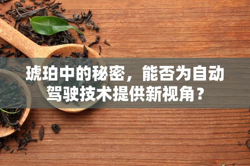 琥珀中的秘密，能否为自动驾驶技术提供新视角？