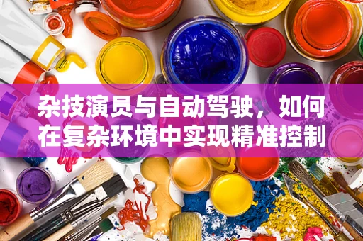 杂技演员与自动驾驶，如何在复杂环境中实现精准控制？