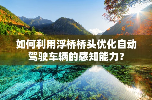 如何利用浮桥桥头优化自动驾驶车辆的感知能力？