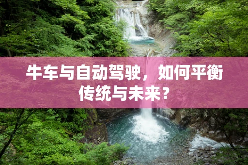牛车与自动驾驶，如何平衡传统与未来？