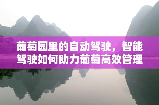葡萄园里的自动驾驶，智能驾驶如何助力葡萄高效管理？
