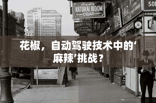 花椒，自动驾驶技术中的‘麻辣’挑战？