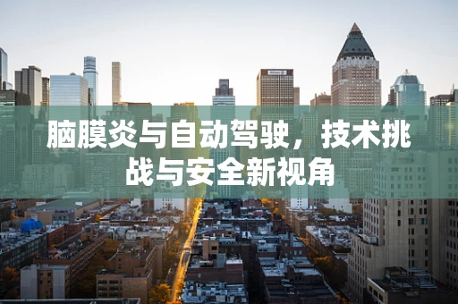脑膜炎与自动驾驶，技术挑战与安全新视角
