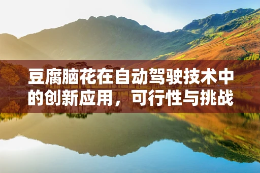 豆腐脑花在自动驾驶技术中的创新应用，可行性与挑战并存？