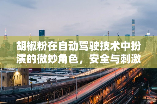 胡椒粉在自动驾驶技术中扮演的微妙角色，安全与刺激的平衡？