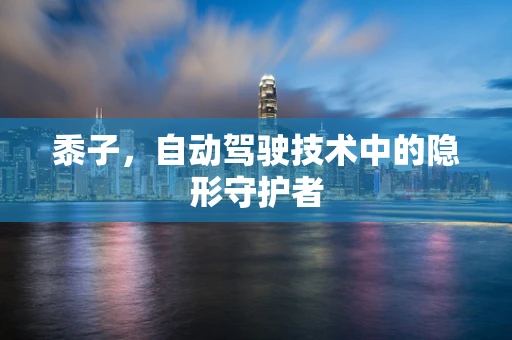 黍子，自动驾驶技术中的隐形守护者