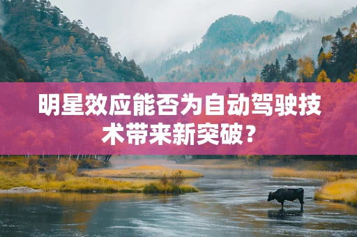 明星效应能否为自动驾驶技术带来新突破？