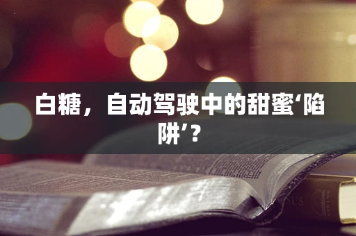 白糖，自动驾驶中的甜蜜‘陷阱’？