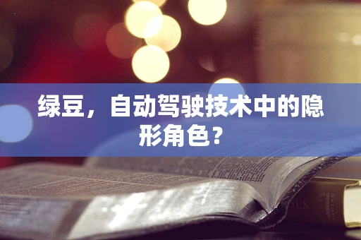 绿豆，自动驾驶技术中的隐形角色？