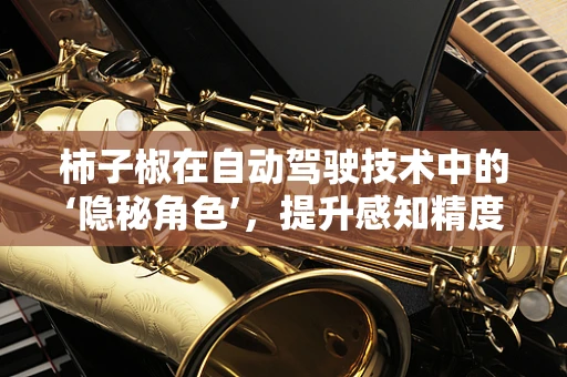 柿子椒在自动驾驶技术中的‘隐秘角色’，提升感知精度的创新应用？