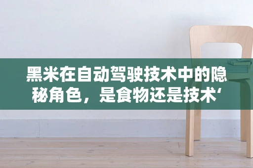 黑米在自动驾驶技术中的隐秘角色，是食物还是技术‘黑科技’？