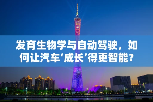 发育生物学与自动驾驶，如何让汽车‘成长’得更智能？