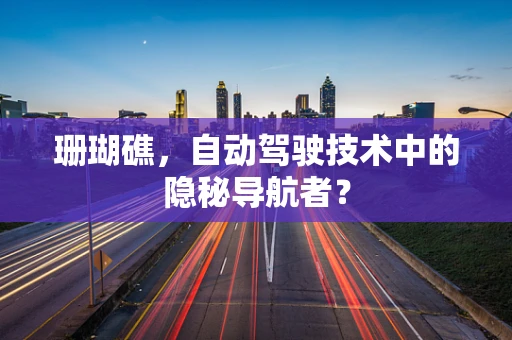 珊瑚礁，自动驾驶技术中的隐秘导航者？